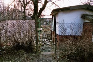 imm006_7A_1